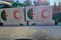 جسر جوي من الطائرات العسكرية لنقل 162 طن مساعدات إلى الفلسطينيين