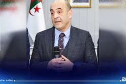 تعرف على الوزير الجديد للنقل 