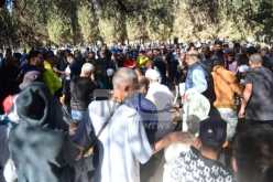 بالصور.. العائلة الرياضية الجزائرية تشيع جنازة الفقيد محمد العايب