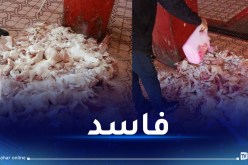 بجاية: حجز أكثر من قنطار من اللحوم البيضاء فاسدة بخراطة