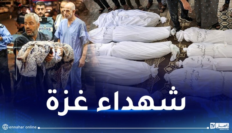 كارثة إنسانية.. عدد شهداء غزة يتجاز الـ9000!