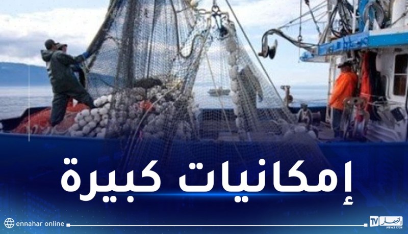 بداني: صادرات بـ 35 مليون دولار من منتجات الصيد البحري نحو إفريقيا