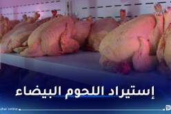 وزارة الفلاحة تُرخص استيراد اللحوم البيضاء مُؤقتا