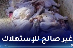 العاصمة.. الدرك يطيح بثلاثة أشخاص بعد اكتشاف مذبح سري للدواجن بالسحاولة