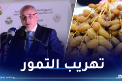 وزير التجارة: مراجعة المقايضة.. تهريب دقلة نور إلى الخارج