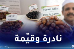 “مخ البقري”.. “تبدالة”.. تمور نادرة يجهلها الجزائريون.. تعرف عليها