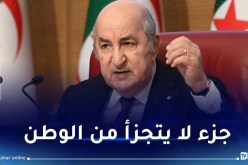 رئيس الجمهورية: الجالية الوطنية طرف فعّال تم تجاهلهم لفترة طويلة