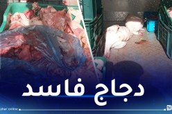 الوادي: حجز 24 قنطار من اللحوم البيضاء في البياضة
