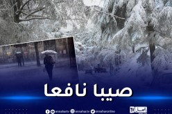 ثلوج وأمطار رعدية غزيرة على هذه الولايات غدا الأربعاء