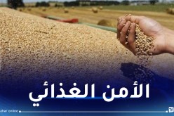 وزير الفلاحة: رفع الإحتياطي الإستراتيجي من الحبوب إلى 9 مليون طن