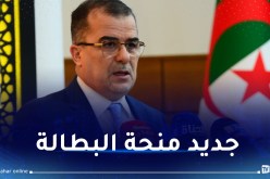 وزير العمل يكشف عن أرقام مُهمة بخصوص منحة البطالة