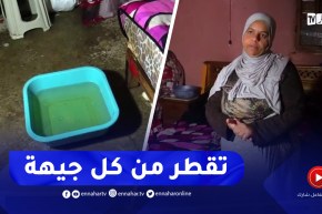 بومرداس : حلمها بيت دافئ..عائلة تقطن إسطبلا بخميس الخشنة