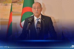 رئيس المحكمة الدستورية يستقبل رئيسة المحكمة الإفريقية لحقوق الإنسان والشعوب