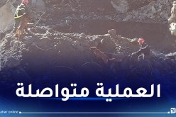 تواصل عملية البحث عن المفقود الذي جرفته السيول ببجاية