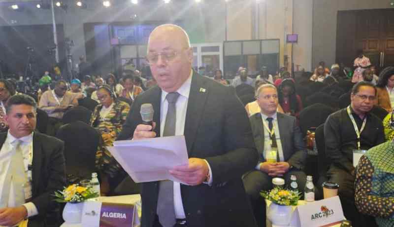 الجزائر تدعم صياغة موقف إفريقي موحد بشأن تعويضات الإستعمار