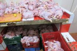 خنشلة: حجز كميات من اللحوم والأسماك الفاسدة