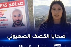 استشهاد 3 صحفيين في قصف إسرائيلي استهدفهم في محيط بلدة طيرحرفا في جنوب لبنان