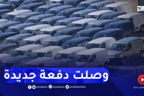 شاهد..وصول الأن كمية معتبرة من سيارات fiat doblo إلى ميناء مستغانم
