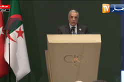 الوزير الأول: علاقات التعاون بين الجزائر وتركيا عرفت قفزة نوعية في السنوات الأخيرة