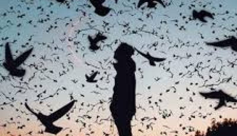 لا أريد أن احيا في دوامة أتجرّع بعدها الندامة.