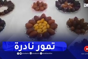 شاهد الأصناف النادرة للتمور في ولايات الوطن ..” خيرك يا ربّي”