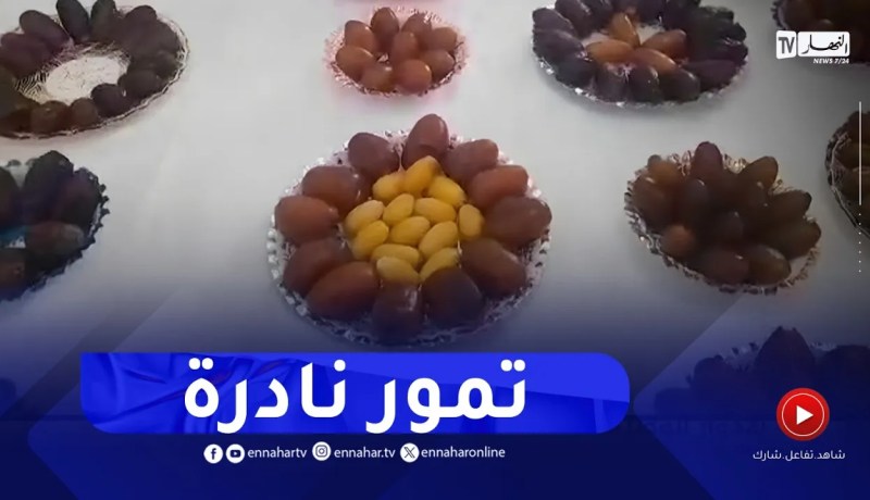 شاهد الأصناف النادرة للتمور في ولايات الوطن ..” خيرك يا ربّي”