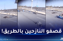 فيديو مُروع.. جُثث مُلقاة على الطريق الساحلي بغزة