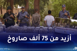 توقيف 7 أشخاص وحجز قرابة 20 قنطارا من الكيف ببشار