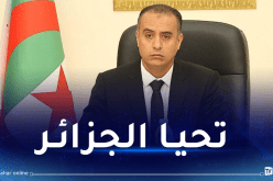 صادي: “1 نوفمبر ذكرى تحمل أسمى معاني الوفاء لتضحيات شهدائنا الأبرار”