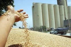 أم البواقي: إلتماس 7 سنوات سجنا نافذا في حق 50 متهما بينهم اطارات بمطاحن سيدي ارغيس