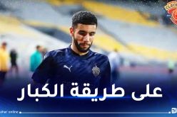 بالفيديو.. قندوسي يسجل هدفا عالميا في الدوري المصري