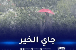 أمطار رعدية وبرد شديد غدا الجمعة على هذه المناطق