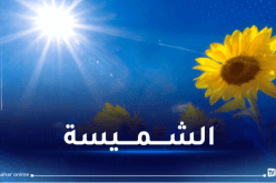 أجواء مشمسة على أغلب ولايات الوطن غدا الخميس