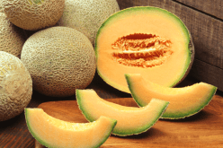 وفاة شخص بسبب تناول فاكهة البطيخ!