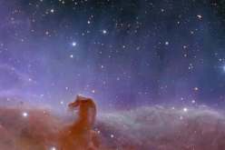 التلسكوب الفضائي الأوروبي إقليدس يكشف عن صوره الأولى للكون