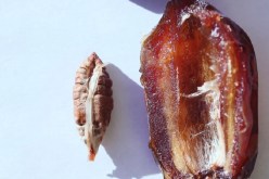 لطهي اللحوم القاسية والبقوليات في دقائق.. حل سحري