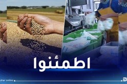 الحبوب والحليب.. لا ندرة ولا طوابير