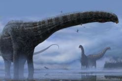 دراسة تكشف: هذا سبب انقراض الديناصورات