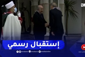 إستقبال رسمي للرئيس التركي أردوغان بقصر الرئاسة