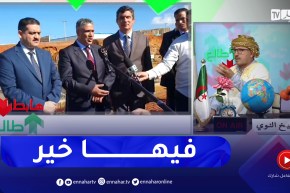 طالع هابط: النوي يحيى والي العاصمة وزير السكن ووزيرالري بعد حل مشكلة المدينة الجديدة سيدي عبد الله