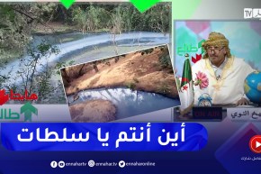 طالع هابط: شاهد الكارثة البيئية .. واد من المياه القذرة وسط الغابة بالعاصمة