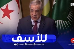 الوزير الأول : المنظومة الدولية تقف عاجزة عن فرض حقوق الانسان في فلسطين