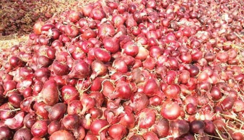 بيان هام بخصوص مادة البصل