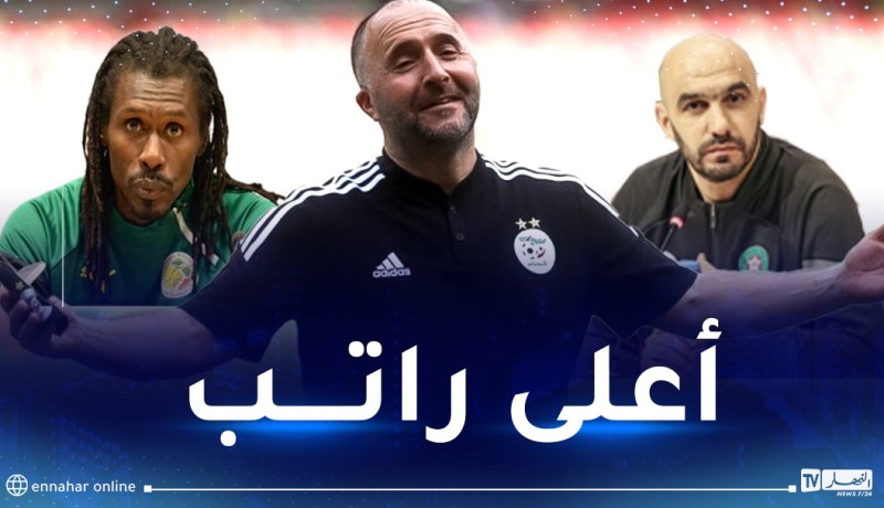 بلماضي أغلى مدرب في كأس أمم إفريقيا 2023
