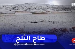 باتنة/ مشاهد خلابة للثلوج بمنطقة نافلة بدائرة مروانة