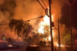 بالفيديو.. حريق هائل يلتهم مساحة “6 ملاعب” في أمريكا