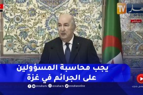 رئيس الجمهورية : تطرقنا مع الرئيس التركي لما يحدث في غزة و فلسطين