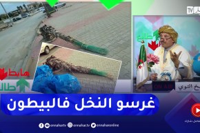 طالع هابط: شاطىء “بالم بيش” بالعاصمة .. الشاطىء كاين والنخل يجيب ربي