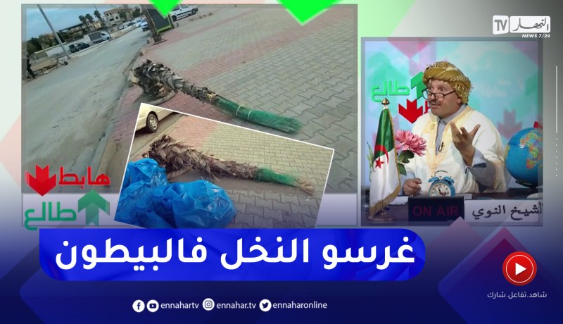 طالع هابط: شاطىء “بالم بيش” بالعاصمة .. الشاطىء كاين والنخل يجيب ربي