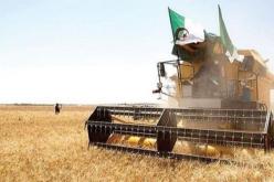 إلغاء شرطي التأمين والتصريح بالبئر للحصول على البذور والأسمدة مجانا
